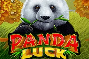 Panda Luck - BOYBET168