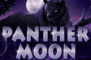 Panther Moon - BOYBET168