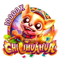 Facai : CHILIHUAHUA - BOYBET168