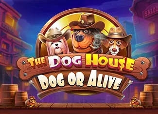 Pragmatic : The Dog House - Dog or Alive - BOYBET168