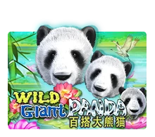 Joker123 : Wild Giant Panda - BOYBET168
