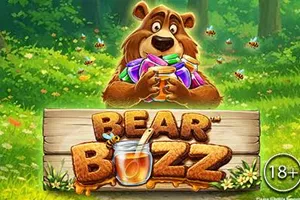 Bear Buzz - BOYBET168