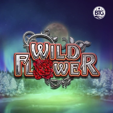 Bigtime : Wild Flower - BOYBET168
